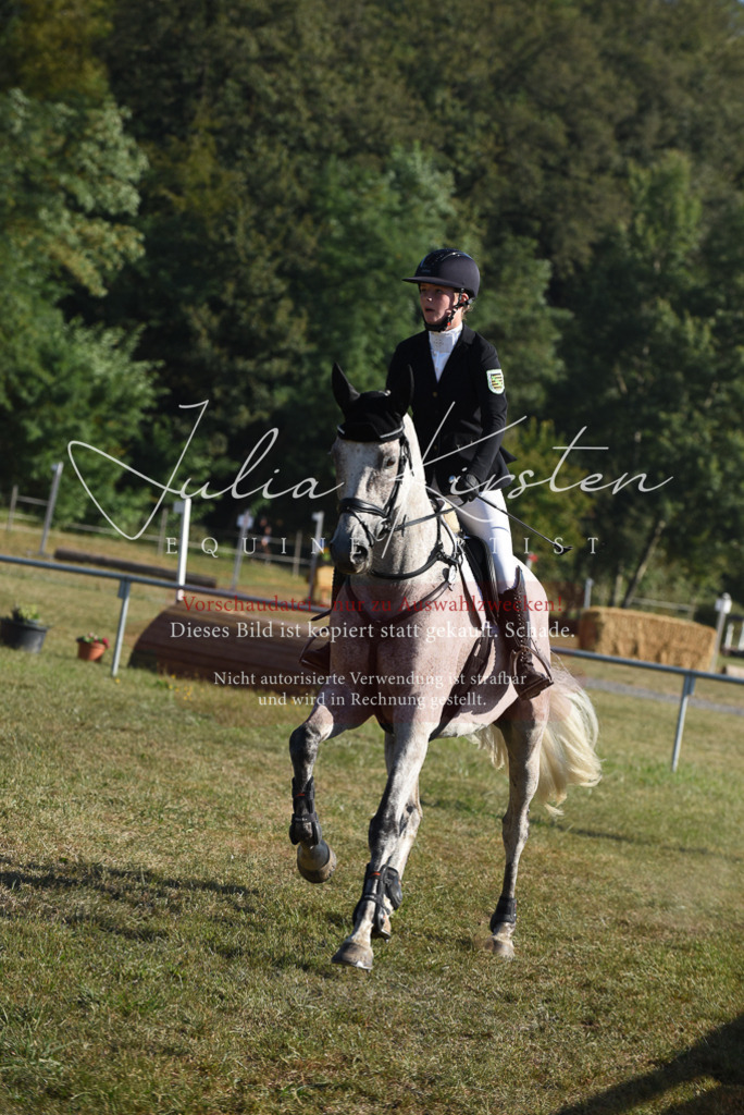 DSC_5278 | Pferde- und Turnierfotografie in Westsachsen. Pferdeportraits, Auftragszeichnungen und intuitive Kunst.