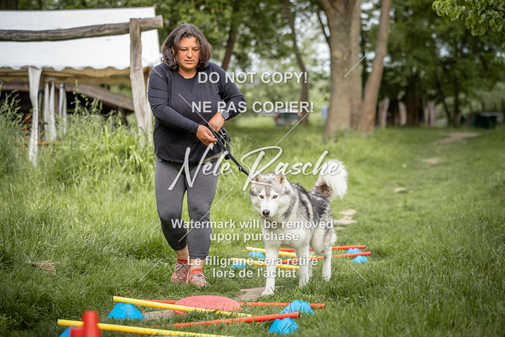 nelerasche_So-earlydog_27 | nelerasche
