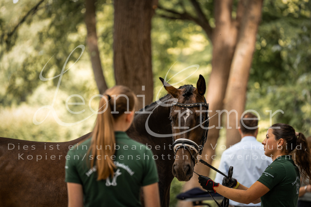 FrPfM00047 | Leoni Ertmer Photography - Realisiert mit Pictrs.com