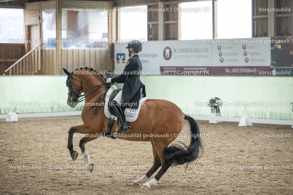 _D5A5975 | Emotionale Pferde- & People-Fotografie rund um Heidelberg, Leimen & Umgebung. Natürliche Fotos von Pferd, Mensch & Familie. Jetzt Termin sichern!