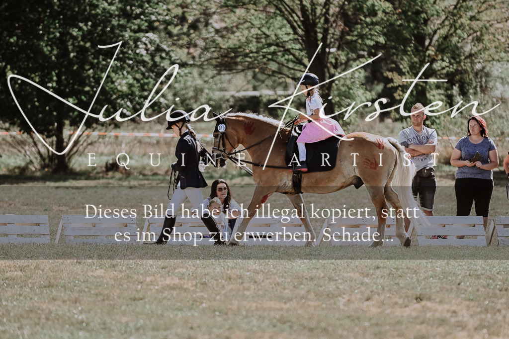 DSC_9004 | Pferde- und Turnierfotografie in Westsachsen. Pferdeportraits, Auftragszeichnungen und intuitive Kunst.
