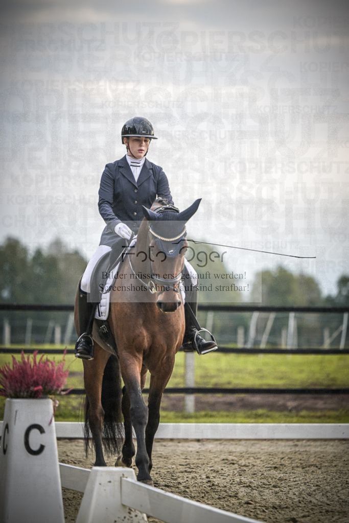 DOS_1475 | Entdecke hochwertige Reitturnierfotos von Foto Oger. Professionell, emotional und authentisch – jetzt Lieblingsmomente im Shop bestellen.Deutschlandweite Turnierfotografie. - Realisiert mit Pictrs.com