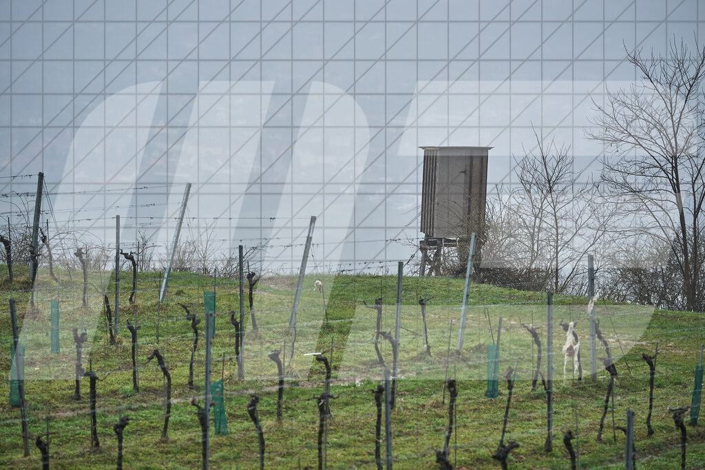 33. KTM Kamptal Trophy | 29.03.2025: 33. KTM Kamptal Trophy in Zöbing, Niederösterreich, ÖsterreichFoto: © 2025 Martin Bihounek / martinbihounek.comInsta: @martinbihounekcomFB: @martinbihounekphotography