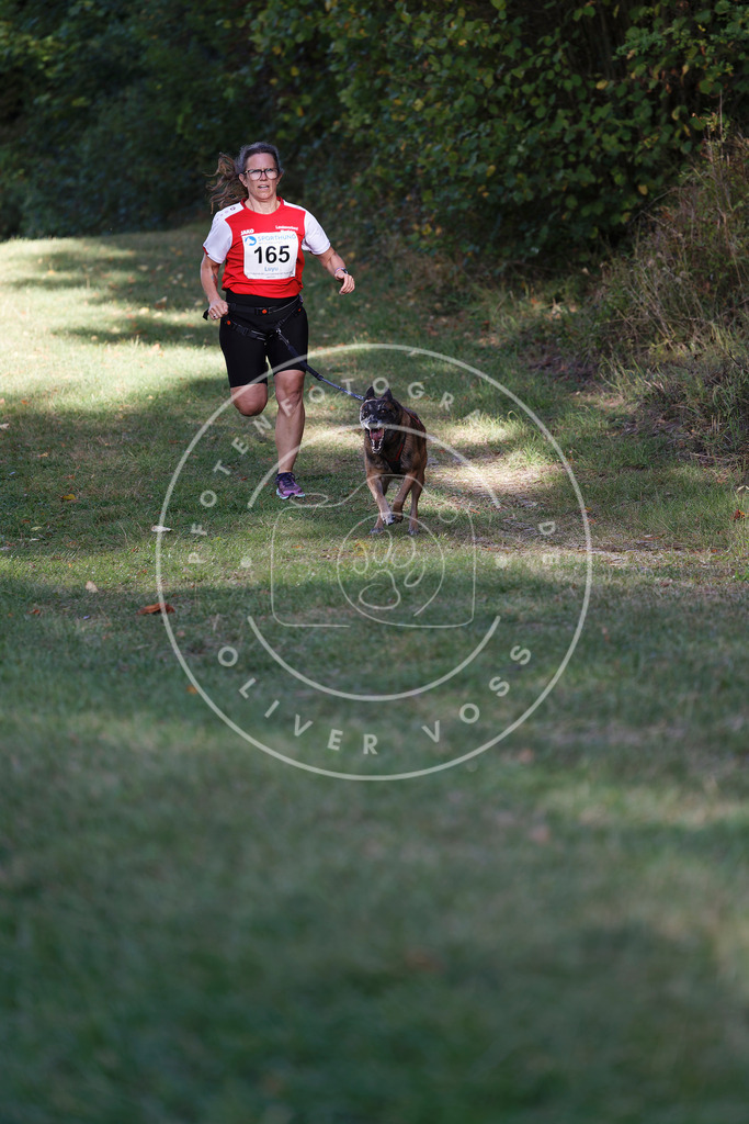 0L8A5371 | Hundefotografie, Tierfotograf, Pfotenfotografie, Fotoshooting Hund, Hunde Portrait, Hundesport, Hundeportraits, Heideshooting, Hunde, Sportfotograf, Hundefotograf, Turnierhundsport, THS,  - Realisiert mit Pictrs.com