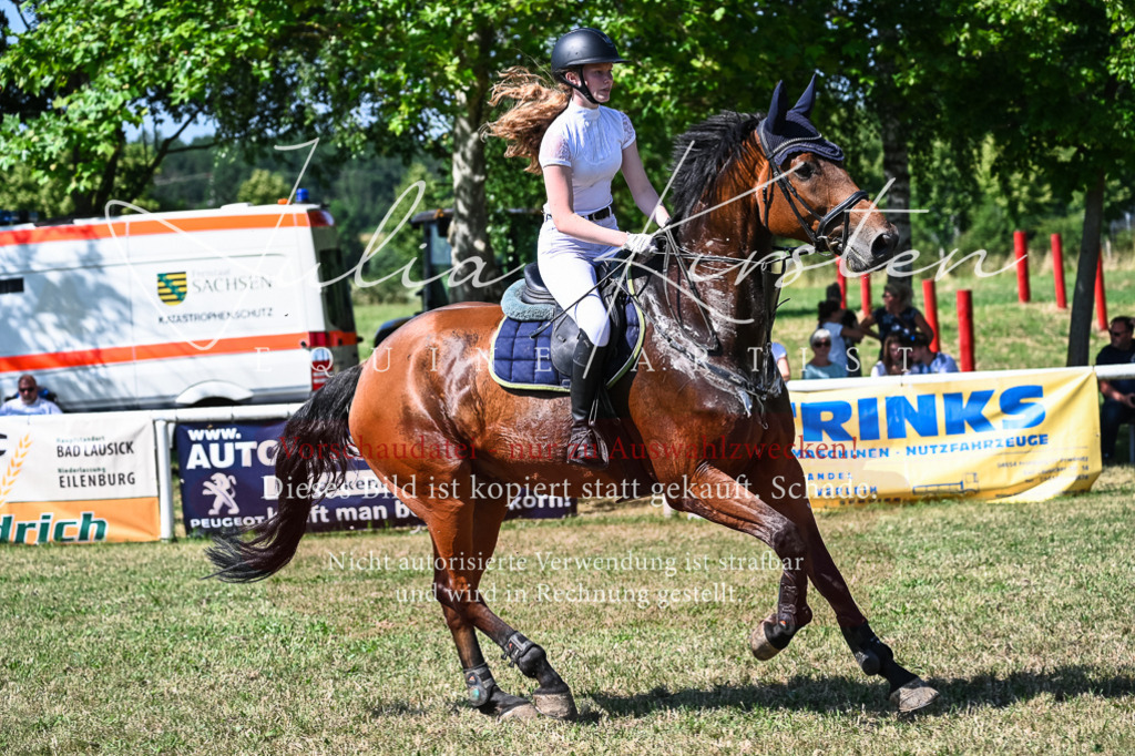 DSC_1677 | Pferde- und Turnierfotografie in Westsachsen. Pferdeportraits, Auftragszeichnungen und intuitive Kunst.