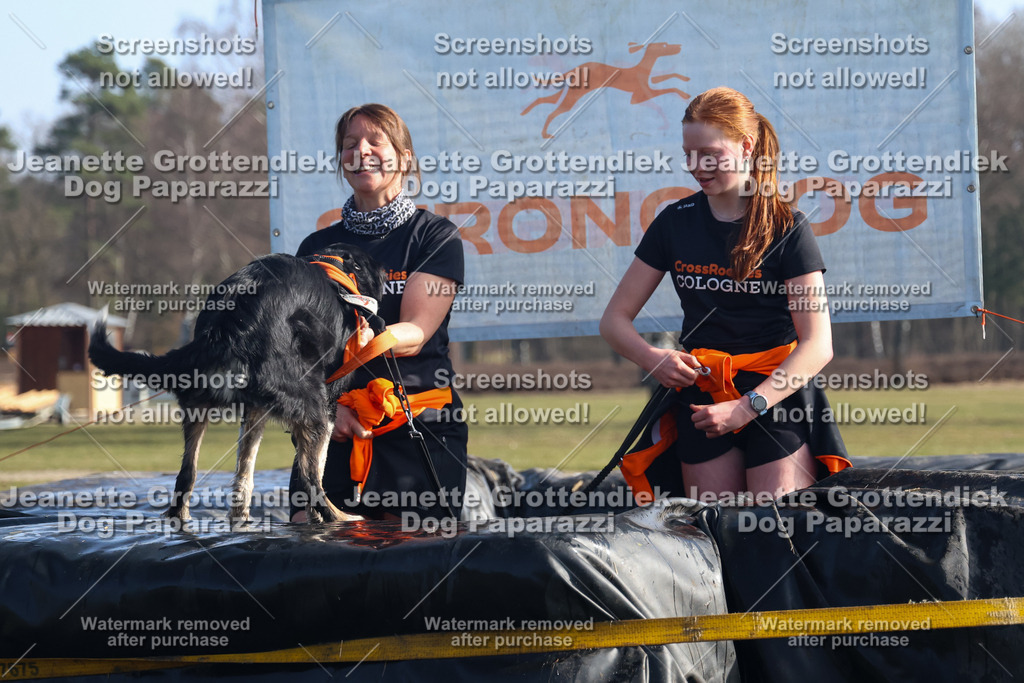 Dog Paparazzi - Strongdog North Mrz26-1328 | Dog Paparazzi Jeanette Grottendiek Fotografie & Videografie - Realisiert mit Pictrs.com