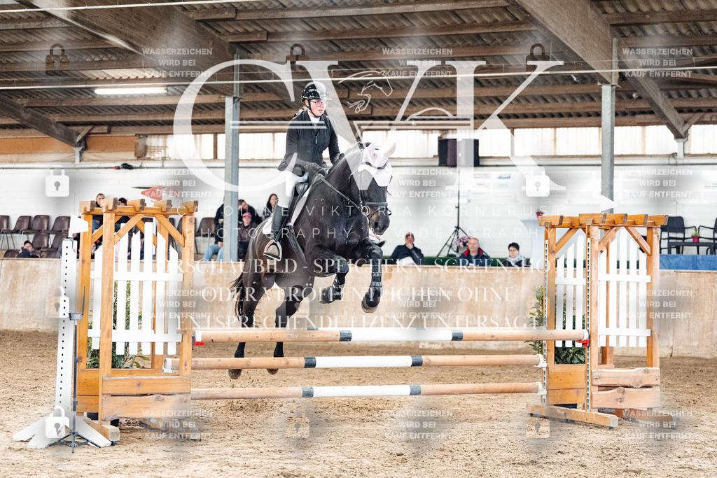 CK904505 | Turnierfotografie Pferdefotografie Trier Rheinland-Pfalz Pferdesport Reitsport Tierfotografie Sportfotografie Pferdevideo Pferdevideografie Equestrianvideography equestrianphotography  - Realisiert mit Pictrs.com
