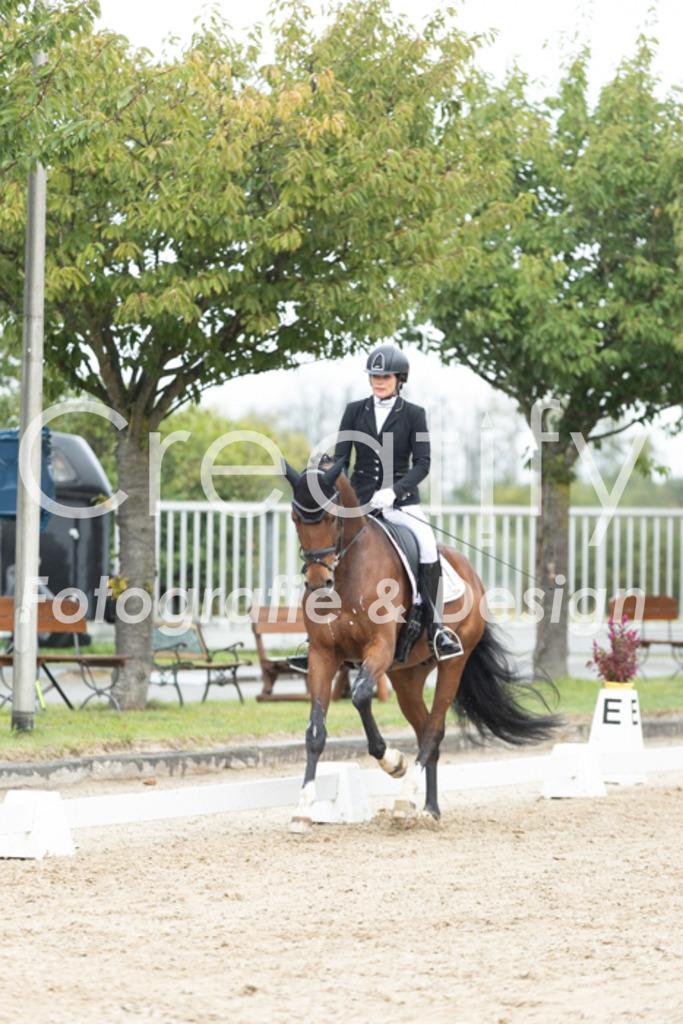 IMG_4621 | Creatify Fotografie