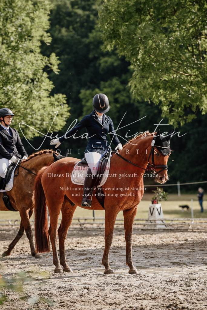 DSC_8886 | Pferde- und Turnierfotografie in Westsachsen. Pferdeportraits, Auftragszeichnungen und intuitive Kunst.