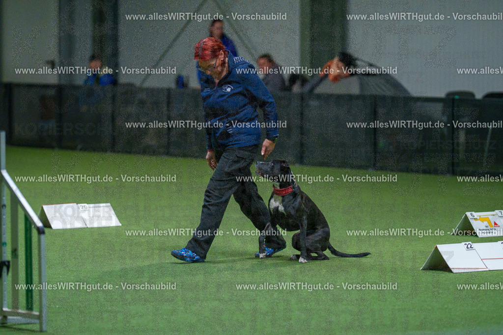 7R503229 | Professionelle Tierfotografie in Mönchengladbach von Daniel Wirth (allesWIRTHgut). Liebevolle & natürliche Bilder von Hunden & Katzen für unvergessliche Erinnerungen.