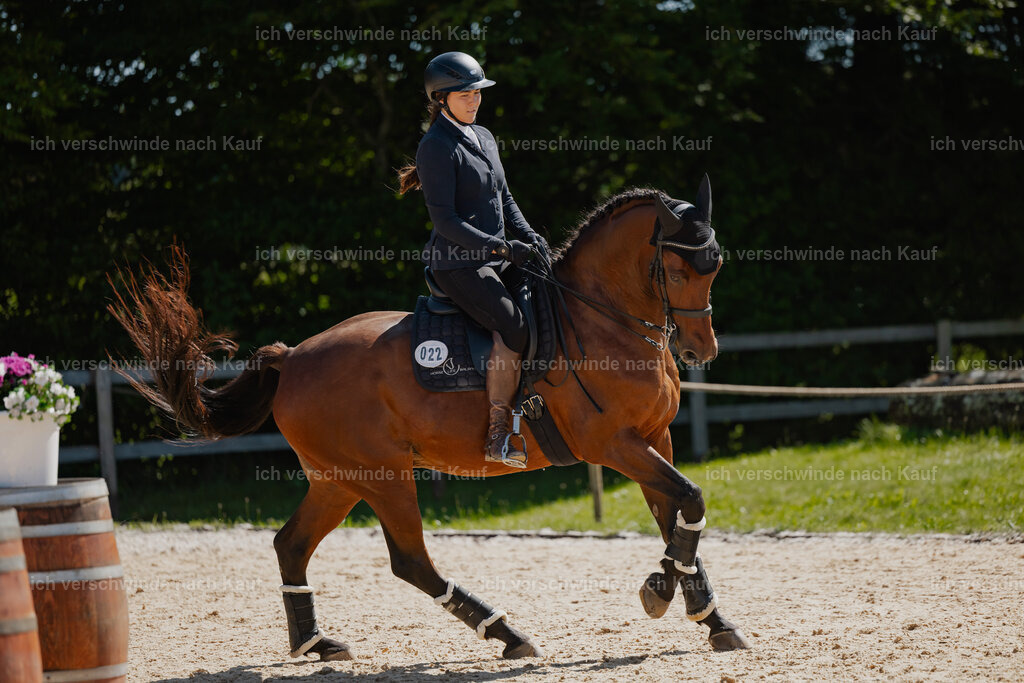 Nadine22_FHC2025-68 | working equitationturnier fotograf videograf stoibphotography marixx film working equitation deutschland reitsport turnierfotografie eventfotografie equestrian events