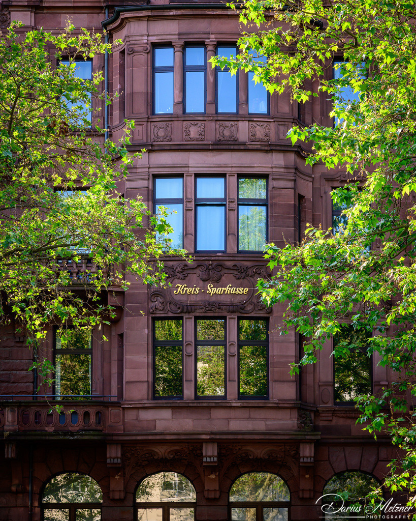 _DSC3755 | Fotografien, Fotos und Bilder aus Mainz, Frankfurt, Wiesbaden und anderen Orten auf der Welt - Fotografiert von Darius Metzner