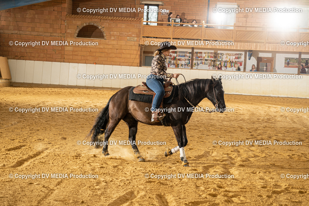 MIT00416 | dv-media-shop - Realisiert mit Pictrs.com