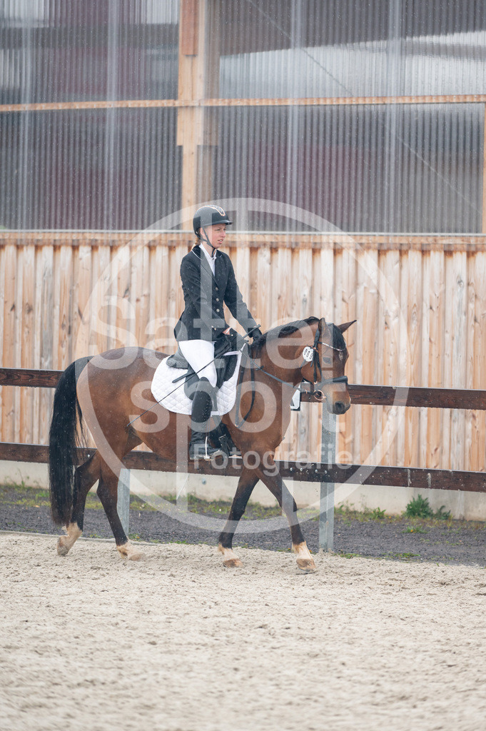 DSC_7060 | sattelsport - Realisiert mit Pictrs.com