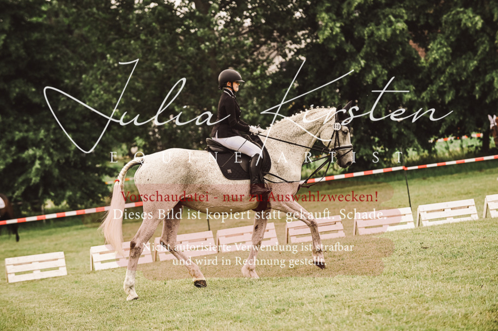 DSC_4969 | Pferde- und Turnierfotografie in Westsachsen. Pferdeportraits, Auftragszeichnungen und intuitive Kunst.