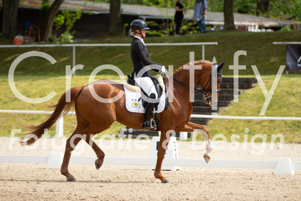 IMG_6784 | Creatify Fotografie