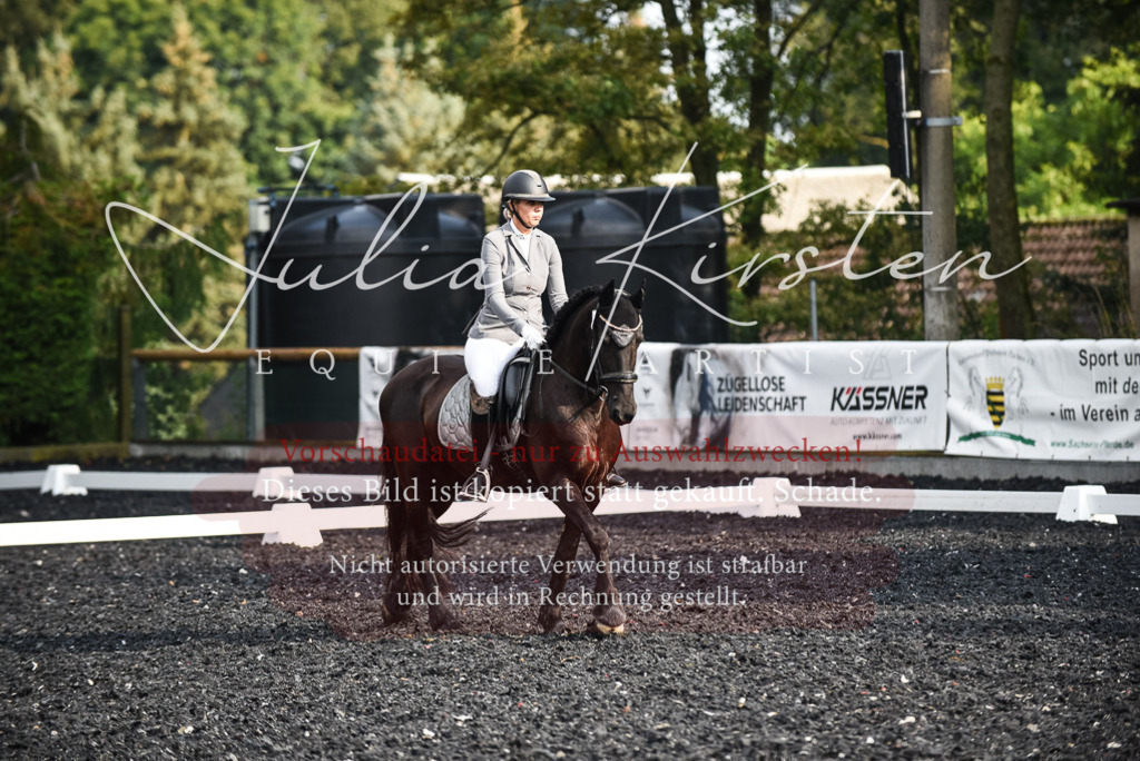 DSC_3302 | Pferde- und Turnierfotografie in Westsachsen. Pferdeportraits, Auftragszeichnungen und intuitive Kunst.