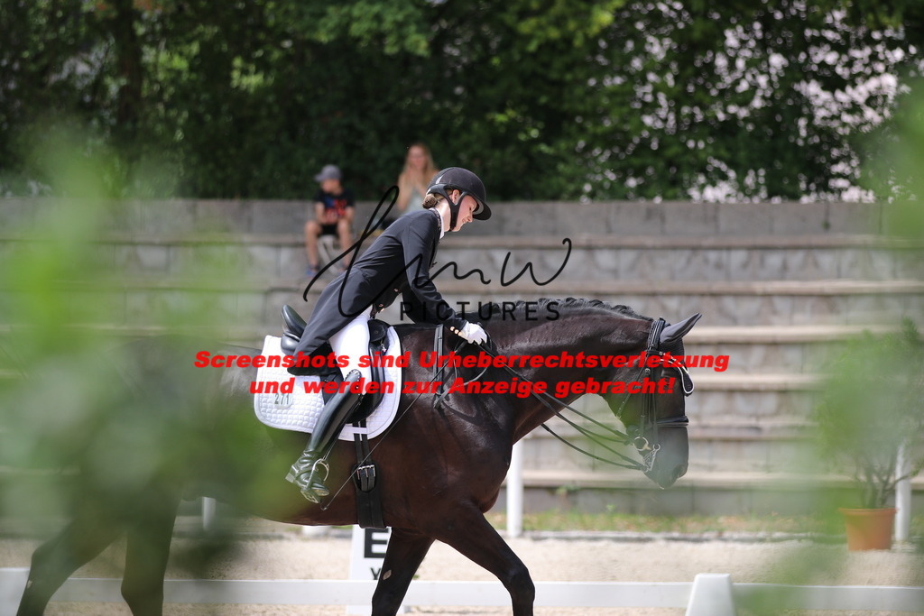 IMG_1847 | lmwpictures - Realisiert mit Pictrs.com