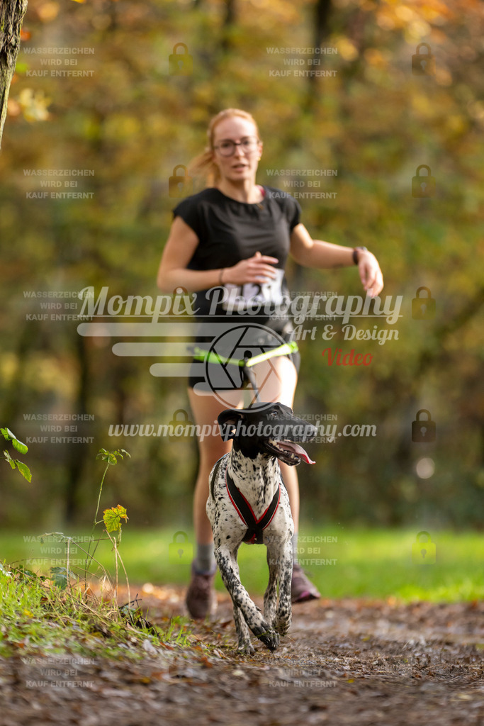 MompixPhotography_Bischwiller23_Canicross-107 | PayLife
