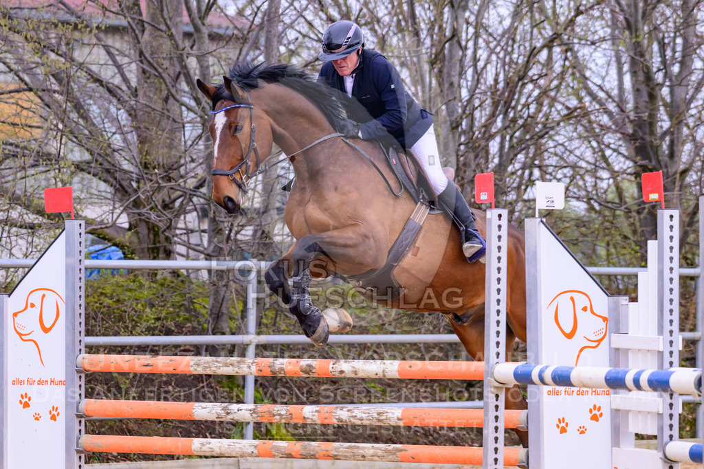 10042026-Mammendorf-Prfg17-0773 | Fokus Hufschlag Fotografie - Realisiert mit Pictrs.com