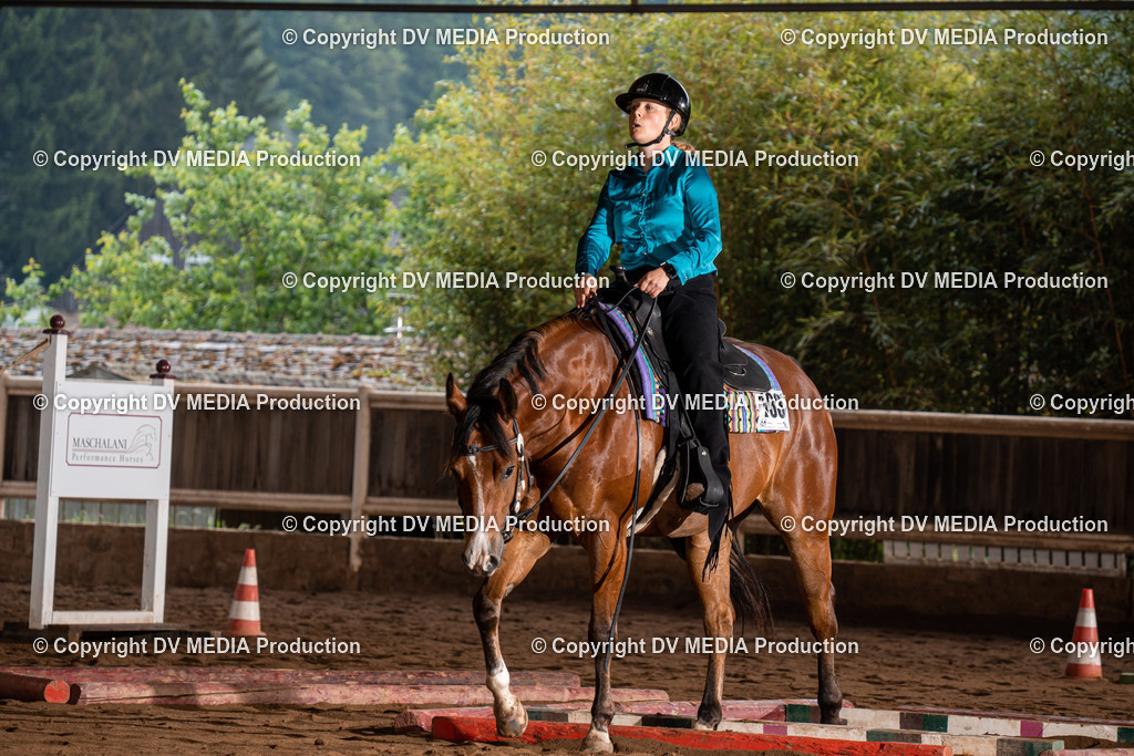 Erbach Tag 3-79 | dv-media-shop - Realisiert mit Pictrs.com