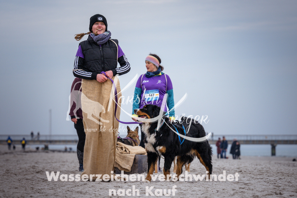 1221_ZZ93692 | kk-dogfotos