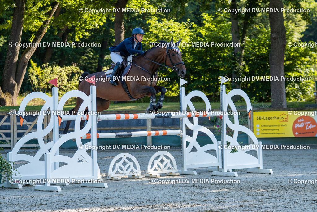 Hessische Tag 1-1090 | dv-media-shop - Realisiert mit Pictrs.com