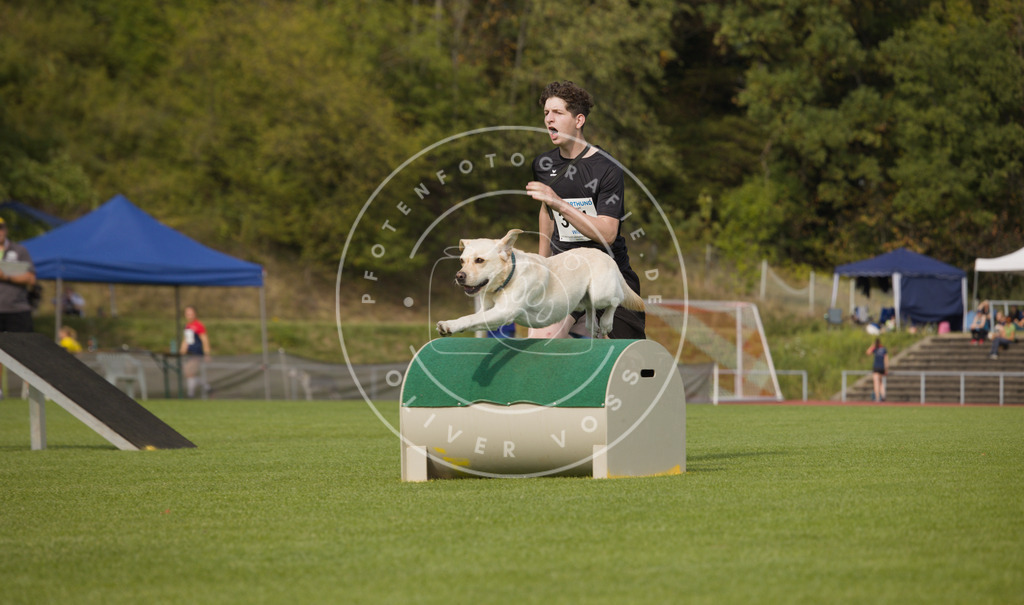 0L8A3580 | Hundefotografie, Tierfotograf, Pfotenfotografie, Fotoshooting Hund, Hunde Portrait, Hundesport, Hundeportraits, Heideshooting, Hunde, Sportfotograf, Hundefotograf, Turnierhundsport, THS,  - Realisiert mit Pictrs.com