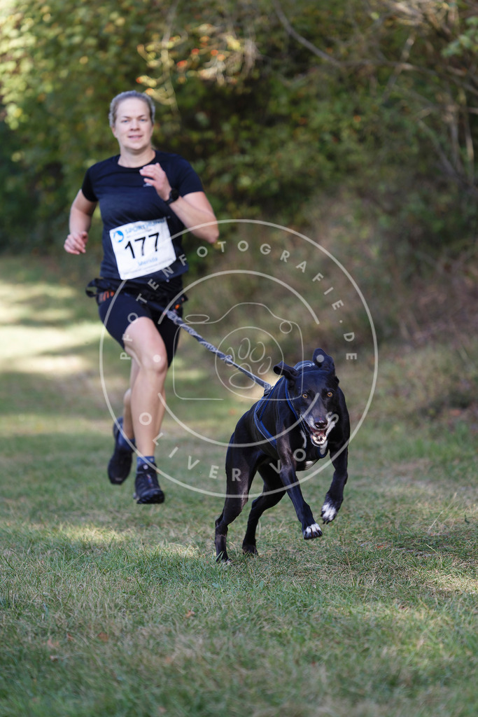 0L8A5526 | Hundefotografie, Tierfotograf, Pfotenfotografie, Fotoshooting Hund, Hunde Portrait, Hundesport, Hundeportraits, Heideshooting, Hunde, Sportfotograf, Hundefotograf, Turnierhundsport, THS,  - Realisiert mit Pictrs.com