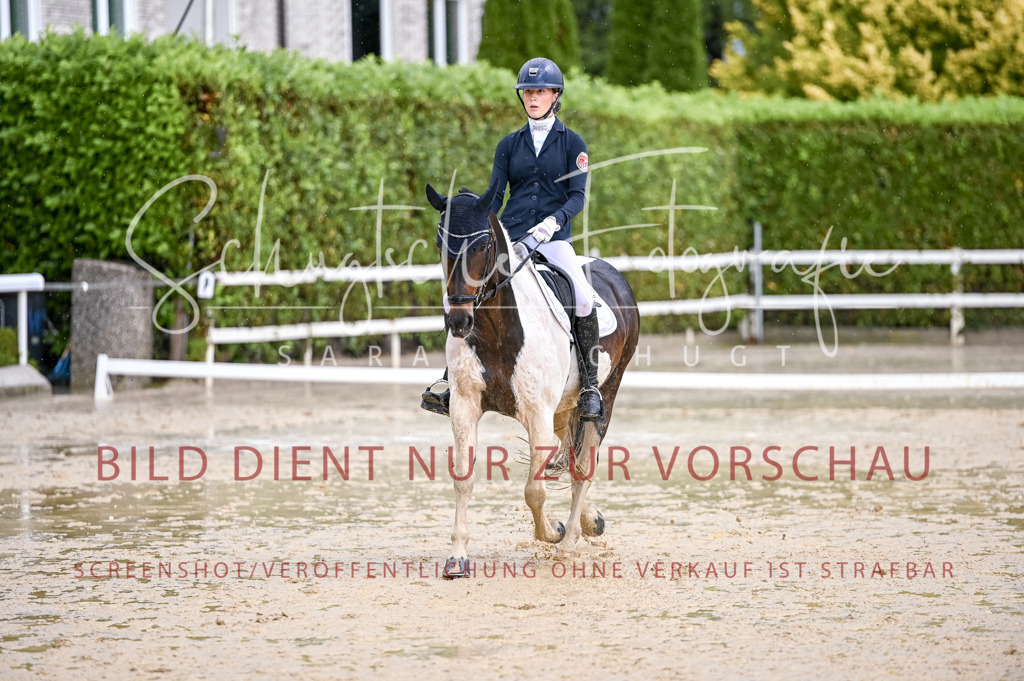 Schugtsche-Aluta25-55.Dressurreiterprf.L1Tr-386 | Schugtsche Fotografie - Realisiert mit Pictrs.com