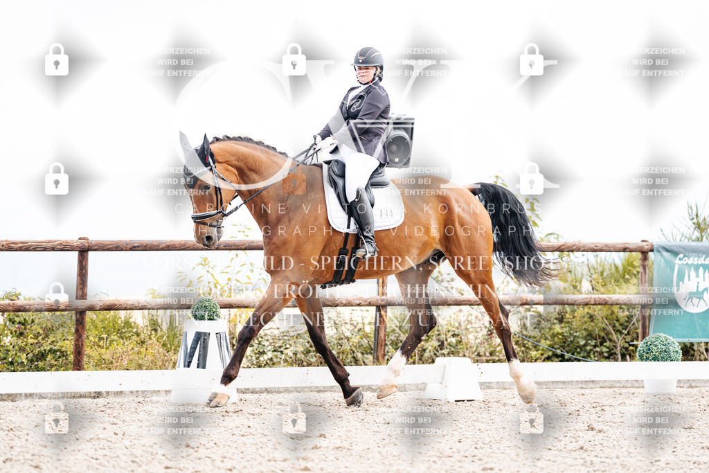 CK900871 | Turnierfotografie Pferdefotografie Trier Rheinland-Pfalz Pferdesport Reitsport Tierfotografie Sportfotografie Pferdevideo Pferdevideografie Equestrianvideography equestrianphotography  - Realisiert mit Pictrs.com
