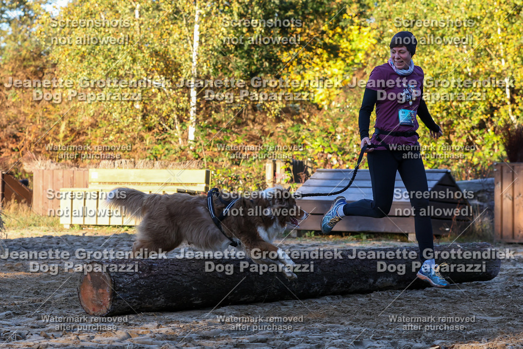 Dog Paparazzi - Strongdog 10-25-682 | Dog Paparazzi Jeanette Grottendiek Fotografie & Videografie - Realisiert mit Pictrs.com