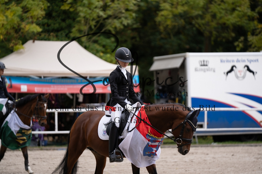 A7V01176 | Pferdefotograf