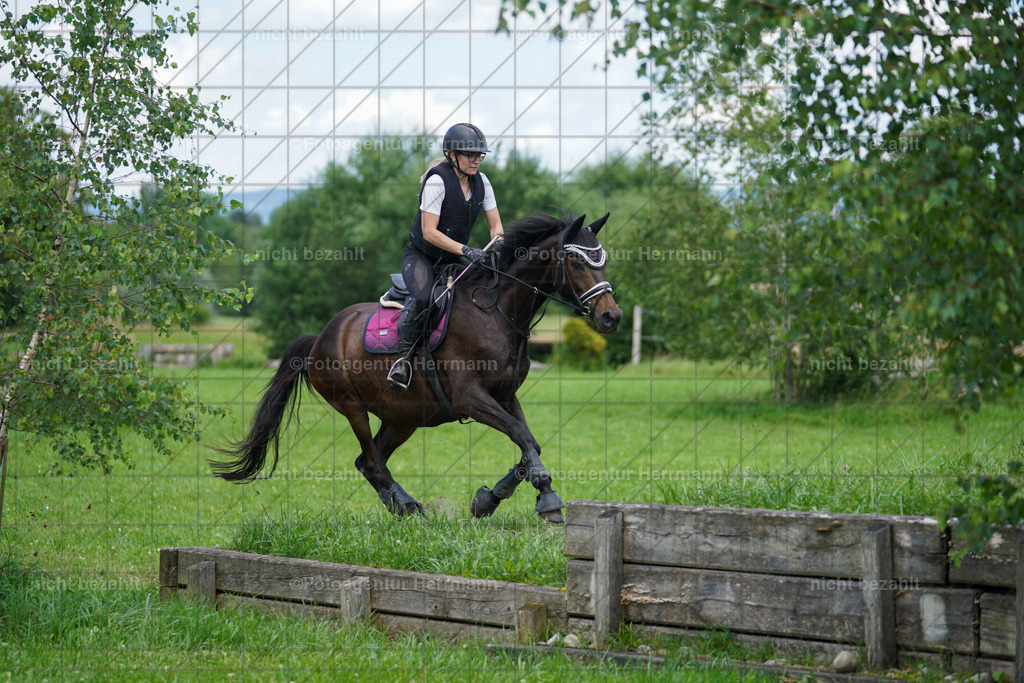 20240622-FAH07414 | Turnierfotografen Bayern, Reitsportbilder aus dem Geländekurs mit Felix Etzel auf dem Gut Waitzacker 2024