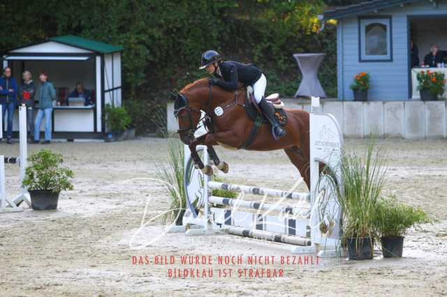 DKP40053 | Turniersportfotografie; Pferdefotografie; Dressurfotografie