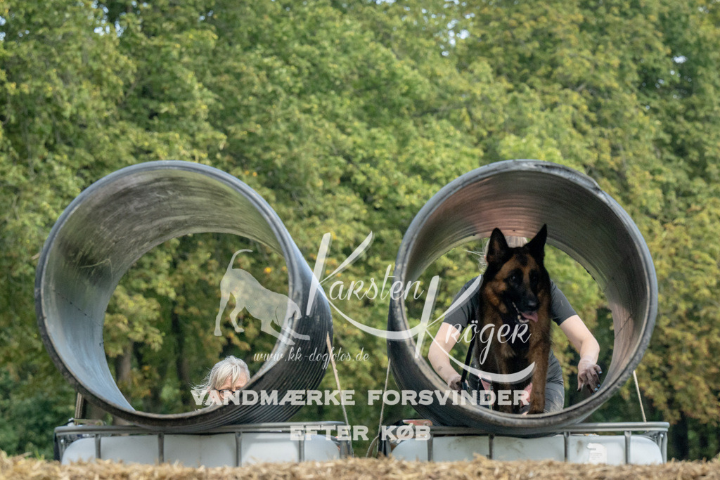 1426_ZZ91144 | kk-dogfotos