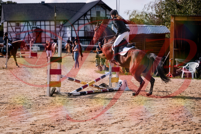 2026_10_03_Siefer-Hof_143535_Z81_04282505 | Professionelle Reitsport-, Turnier- und Eventfotografie von Robert Broda. Galerien mit ausgewählten und bearbeiteten Bildern direkt online ansehen und bestellen.