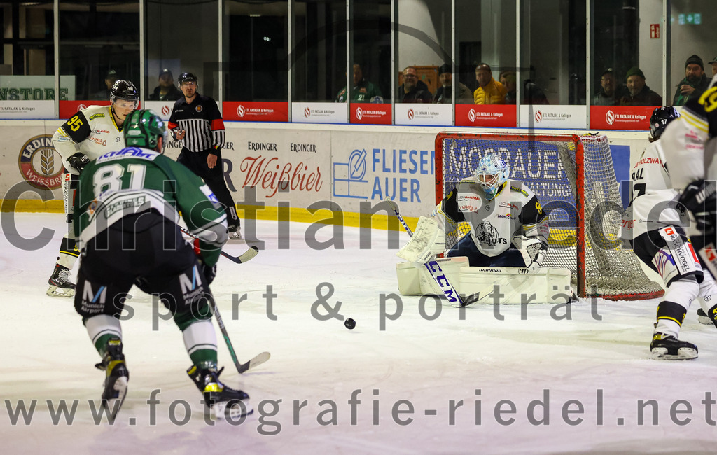 2023-11-17_123_TSV_Erding_gegen_EA_Schongau | Erding, Deutschland, 17.11.2023:
Eishockey, Bayernliga Vorrunde 2023 / 2024, 10. Spieltag, TSV Erding gegen EA Schongau, Endergebnis: 12:4

Maximilian Forster (Erding Gladiators, #81), Torwart Xaver Nagel (EA Schongau, #80)

Foto: Christian Riedel / fotografie-riedel.net