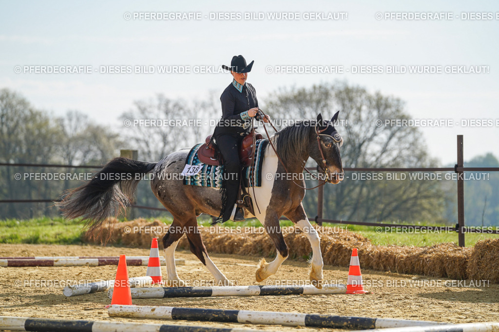 DSC01100 | Pferdegrafie