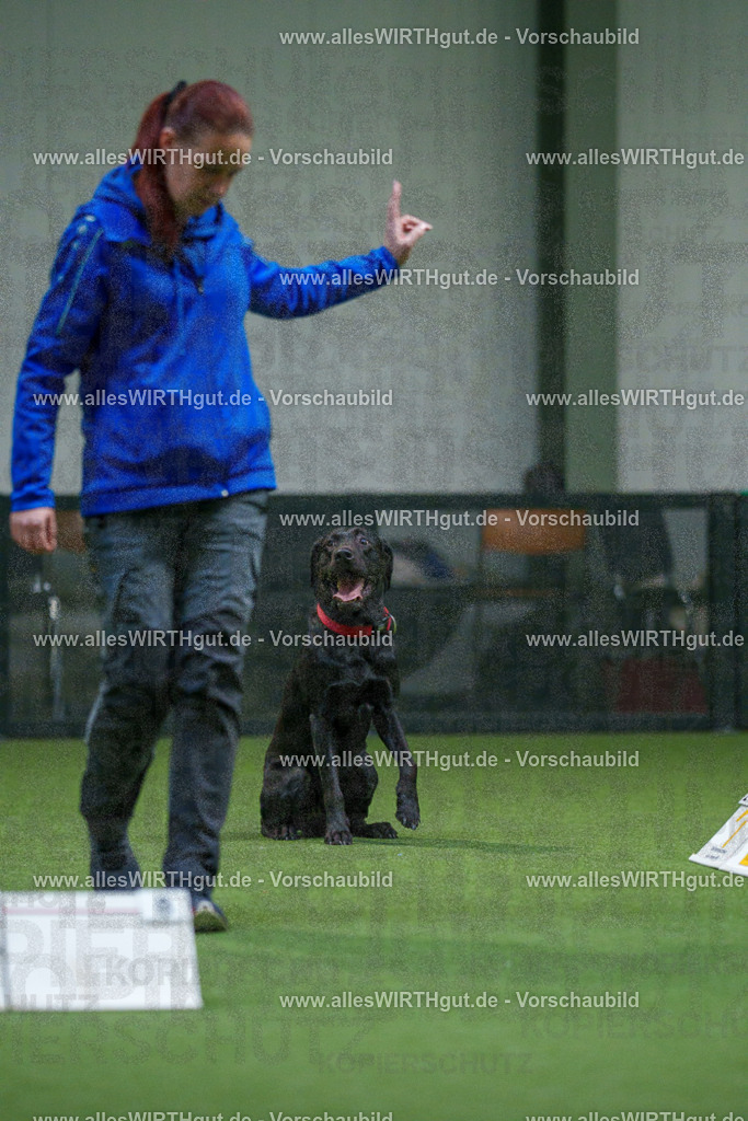 7R504145 | Professionelle Tierfotografie in Mönchengladbach von Daniel Wirth (allesWIRTHgut). Liebevolle & natürliche Bilder von Hunden & Katzen für unvergessliche Erinnerungen.