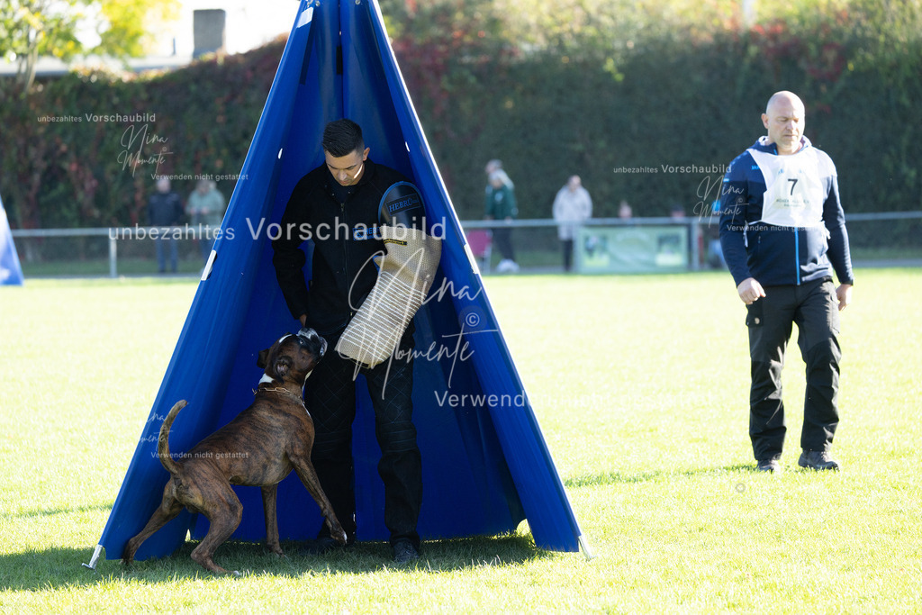 _16A5008 | Einzigartige Fotos von Hunden & Menschen –Actionfotos, Portraits, Vereinsaufnahmen & Paarshootings – authentisch, lebendig & mit Herz.