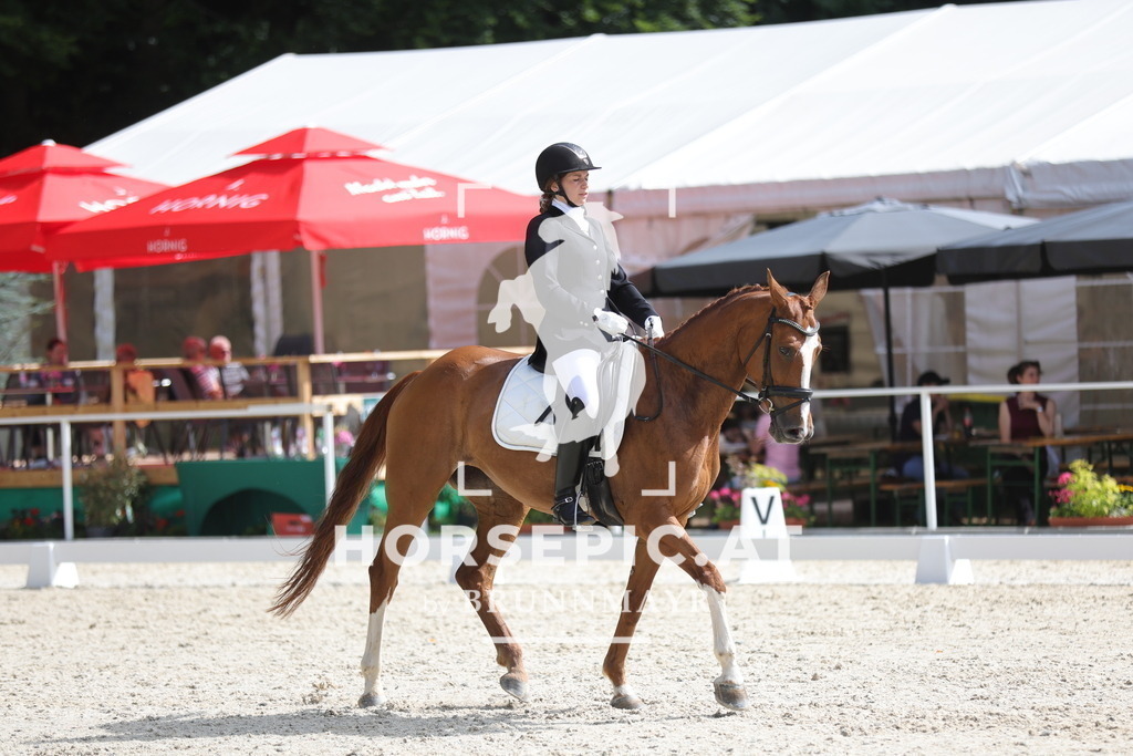 0P6A4957 | Willkommen bei Brunnmayr - Design & Fotografie – Ihrem Spezialisten für Reitturniere und Pferdeveranstaltungen in Oberösterreich, Salzburg und Bayern! Seit über 17 Jahren sind wir leidenschaftlich dabei.