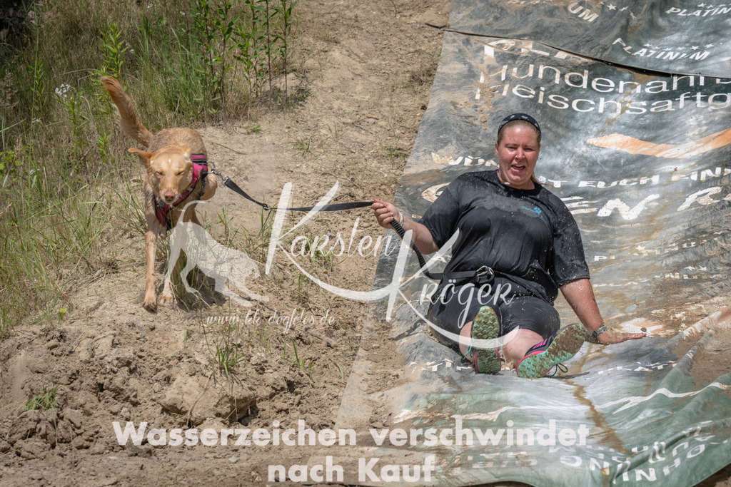 1451_ZZ90995 | kk-dogfotos
