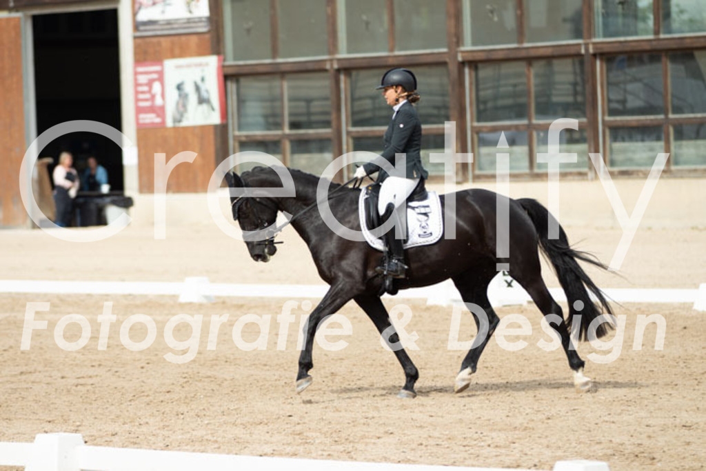 IMG_1487 | Creatify Fotografie