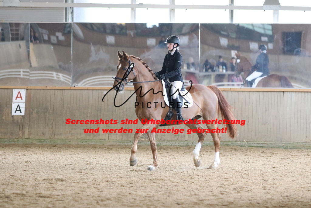 IMG_7808 | lmwpictures - Realisiert mit Pictrs.com