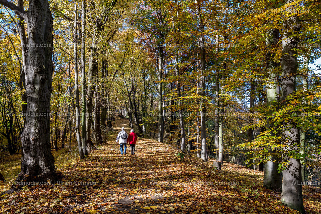 10049-4646 - Landschaftspark Spiegelsberge | Stockfoto und Bilderpool mit Bildmaterial aus Deutschland, dem Harz, Halberstadt, Quedlinburg, Wernigerode und weltweit. Qualitativ hochwertige und professionelle Fotos anschauen und kaufen. - Realisiert mit Pictrs.com