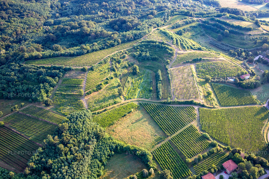 Luftbild: Weinberge in Mossa im Bundesland Gorizia in Italien. Foto: IMG_137599.jpg vom 16.07.2023 durch Werner Riehm/FLY-FOTO.de