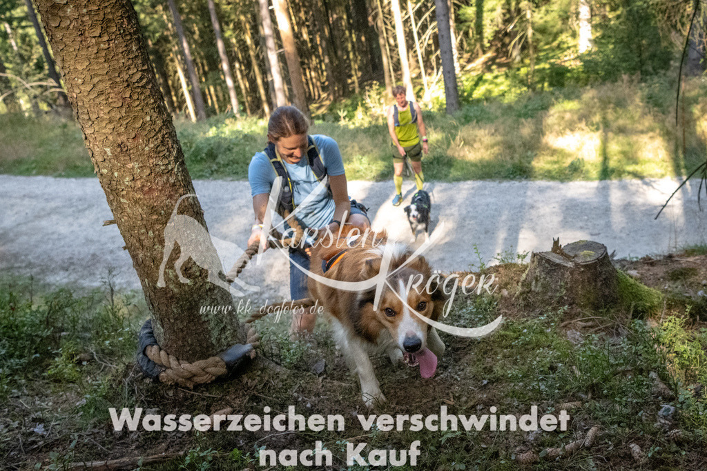 1107_ZZ94545 | kk-dogfotos