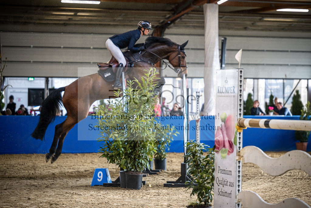 DOS_0253 | Entdecke hochwertige Reitturnierfotos von Foto Oger. Professionell, emotional und authentisch – jetzt Lieblingsmomente im Shop bestellen.Deutschlandweite Turnierfotografie. - Realisiert mit Pictrs.com