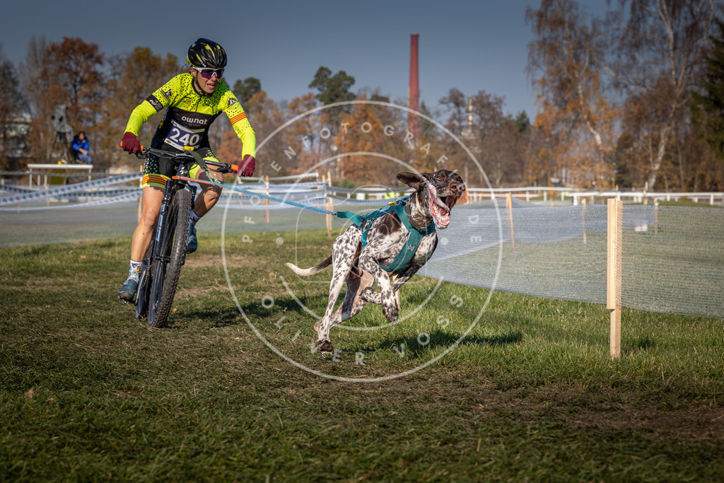 CaniXpix_0L8A6380 | Hundefotografie, Tierfotograf, Pfotenfotografie, Fotoshooting Hund, Hunde Portrait, Hundesport, Hundeportraits, Heideshooting, Hunde, Sportfotograf, Hundefotograf, Turnierhundsport, THS,  - Realisiert mit Pictrs.com